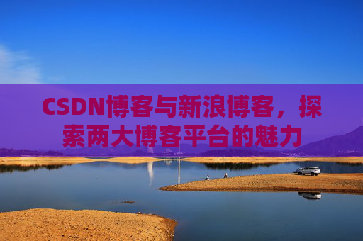 CSDN博客与新浪博客，探索两大博客平台的魅力
